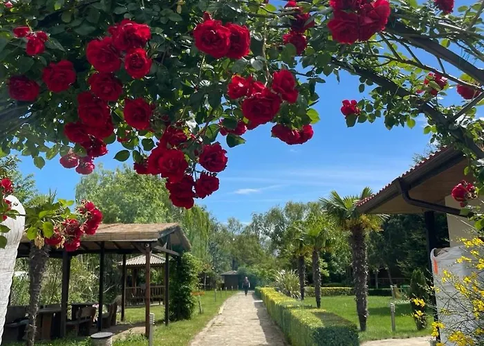 Family Paradise In Laguna *